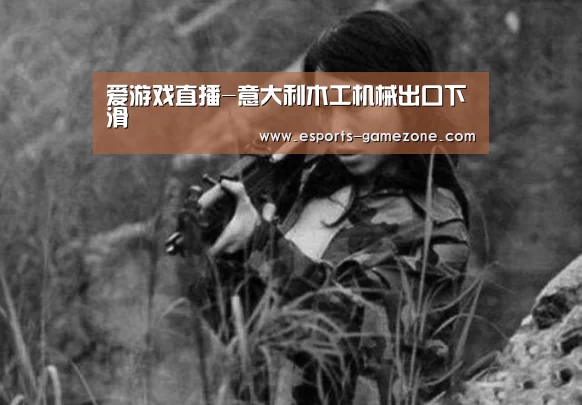 爱游戏直播-意大利木工机械出口下滑