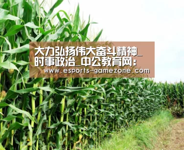 爱游戏体育app