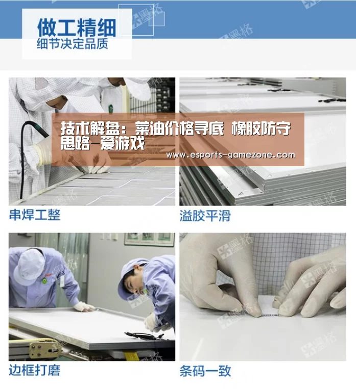 技术解盘：菜油价格寻底 橡胶防守思路-爱游戏