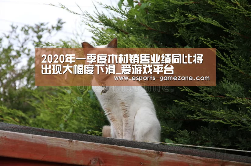 2020年一季度木材销售业绩同比将出现大幅度下滑_爱游戏平台(图2) 爱游戏体育app
